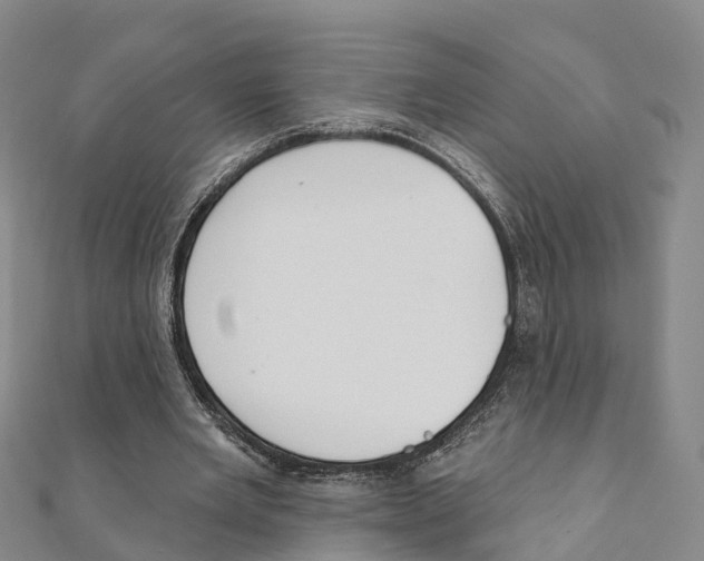 X0000111510485200908111312