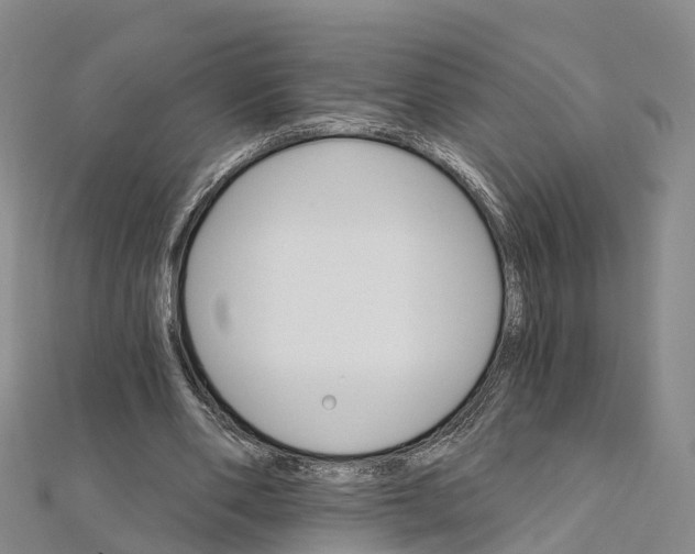 X0000111510486200908111312