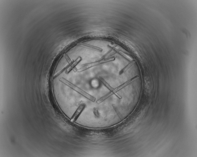 X0000111510487200908111312