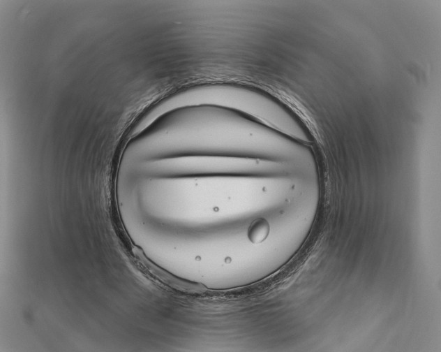 X0000111510489200908111312