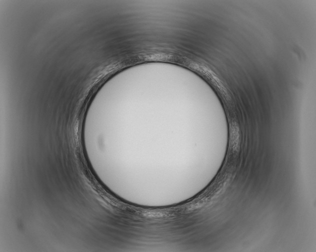 X0000111510490200908111312