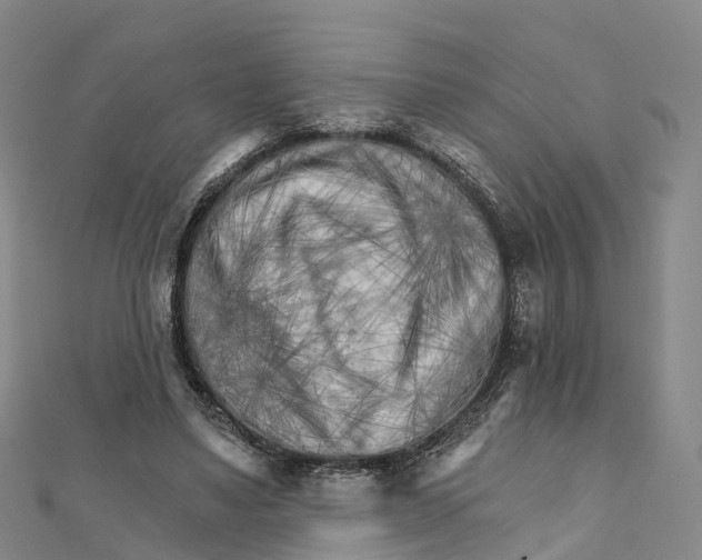 X0000111510491200908111312