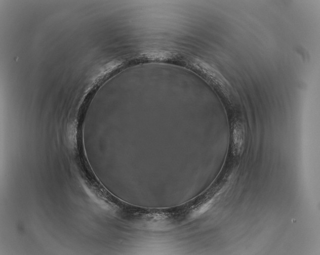 X0000111510492200908111312