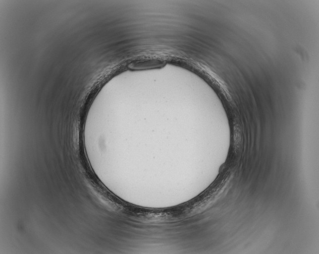 X0000111510493200908111312