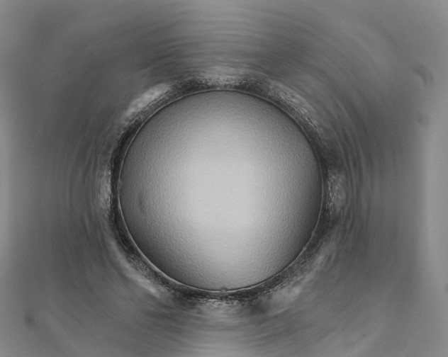 X0000111510494200908111312