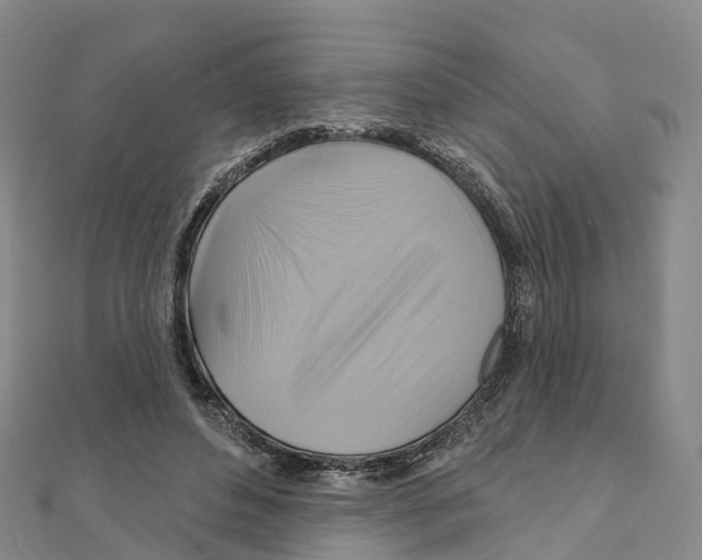 X0000111510496200908111312