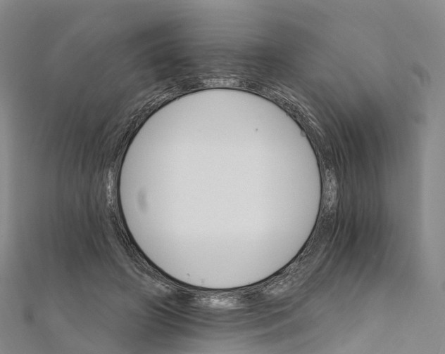 X0000111510498200908111312