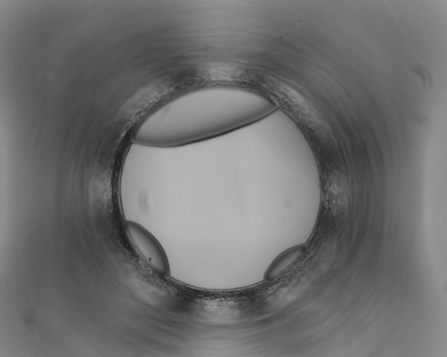 X0000111510500200908111312