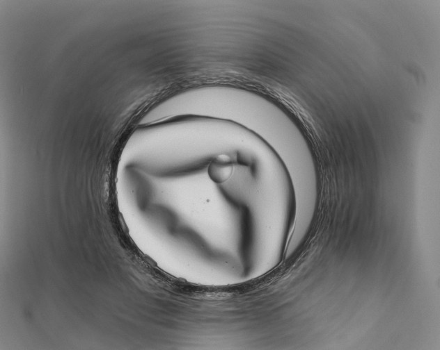 X0000111510501200908111312