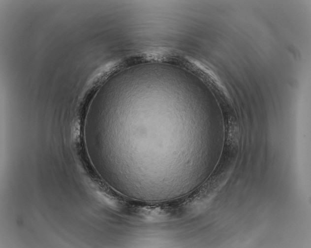 X0000111510502200908111312
