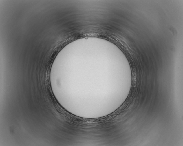 X0000111510503200908111312