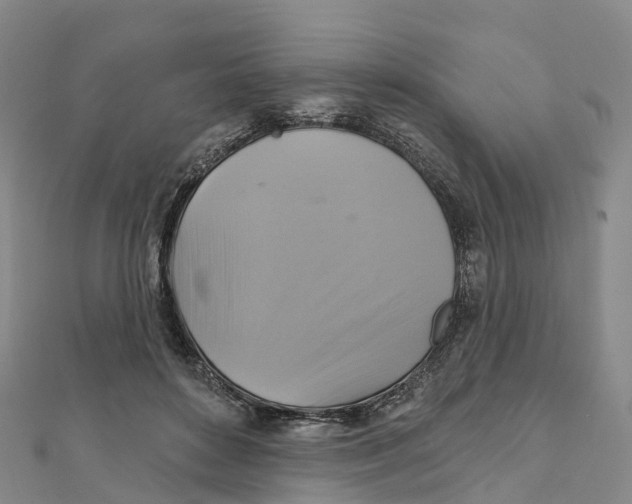 X0000111510504200908111312
