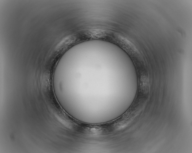 X0000111510506200908111312