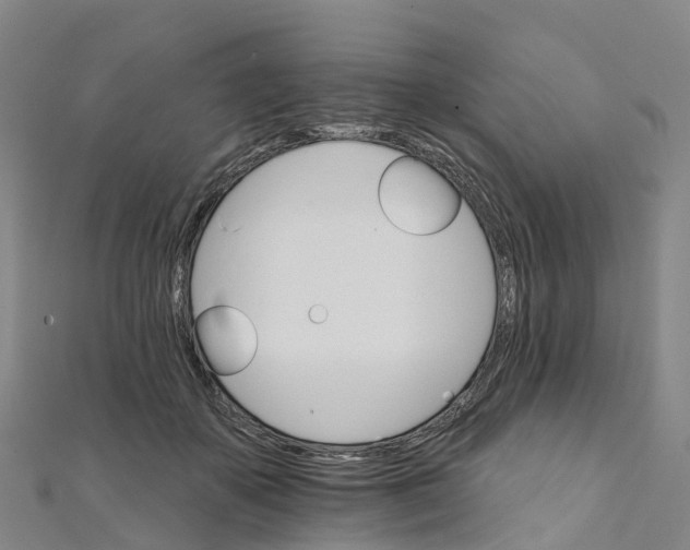 X0000111510507200908111312
