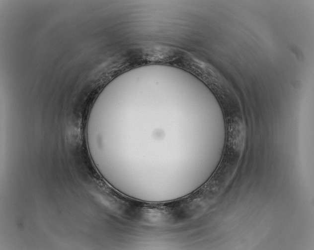 X0000111510510200908111312