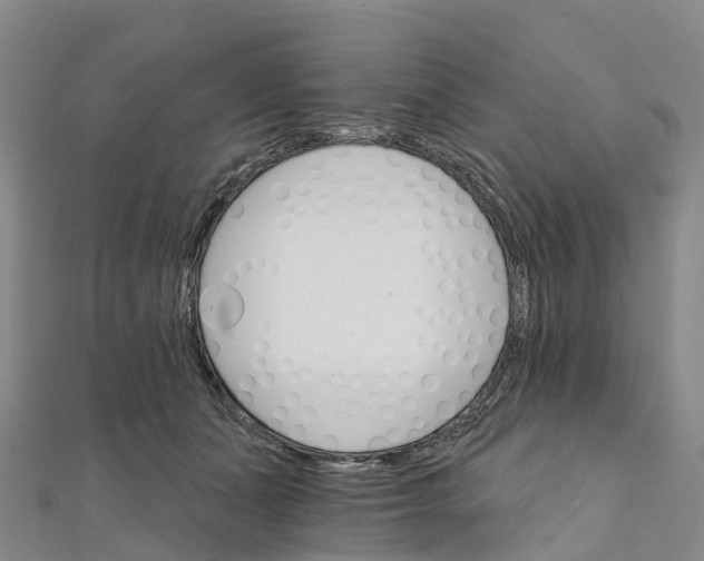 X0000111510511200908111312