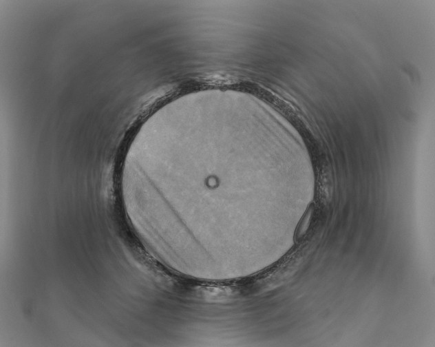 X0000111510512200908111312