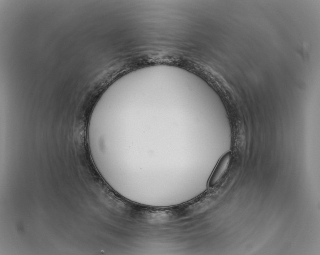 X0000111510513200908111312
