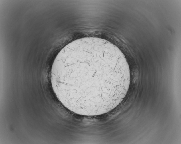 X0000111510515200908111312