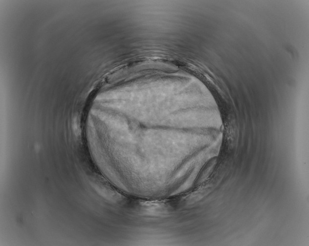 X0000111510516200908111312