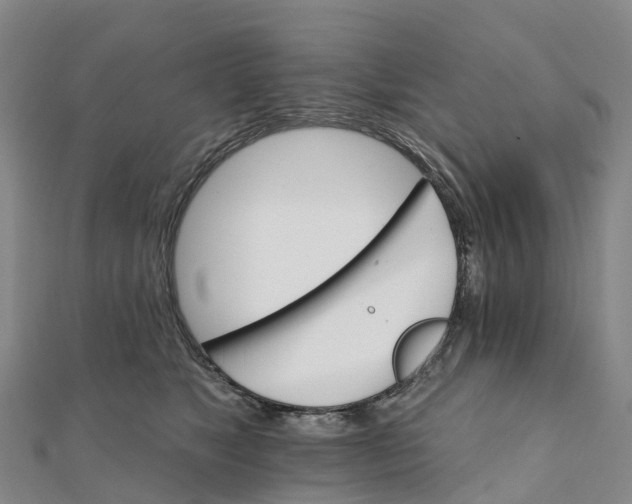X0000111510517200908111312