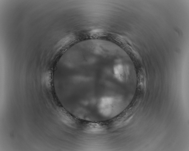 X0000111510519200908111312