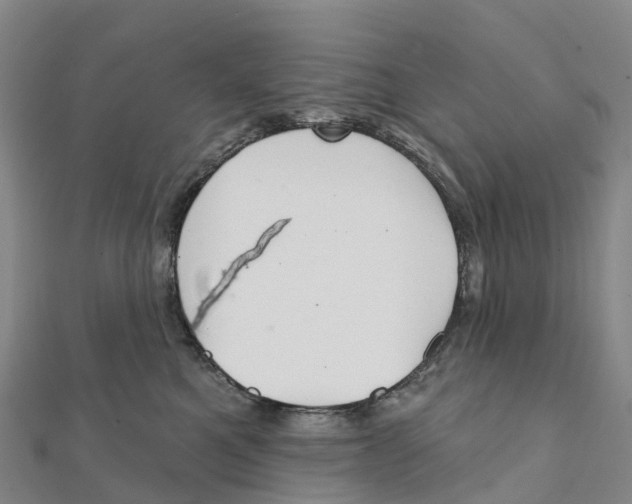 X0000111510521200908111312