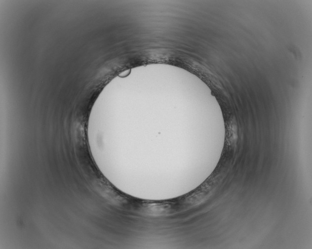 X0000111510522200908111312