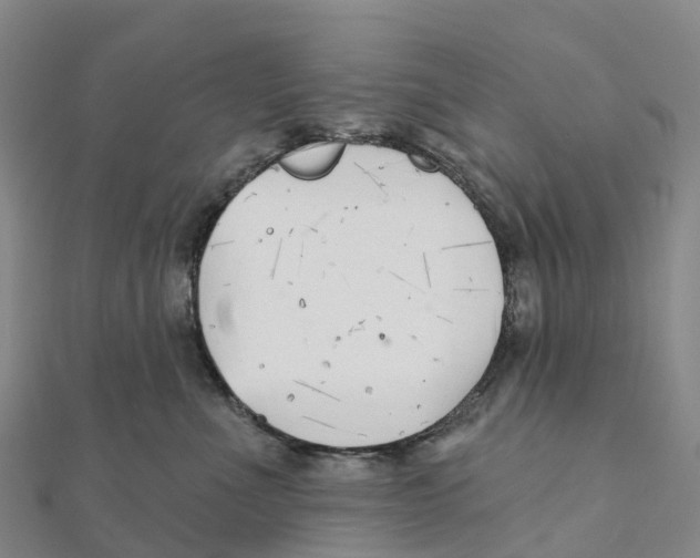 X0000111510523200908111312