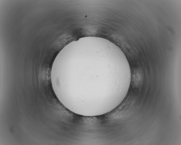 X0000111510525200908111312
