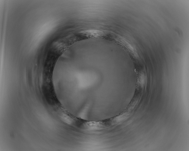 X0000111510526200908111311