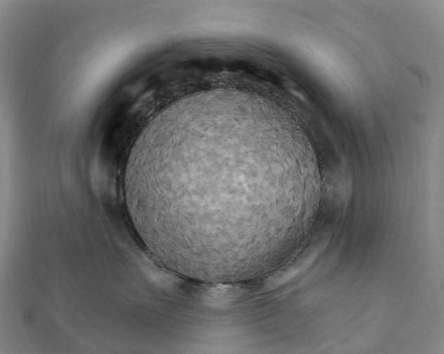 X0000111510527200908111311