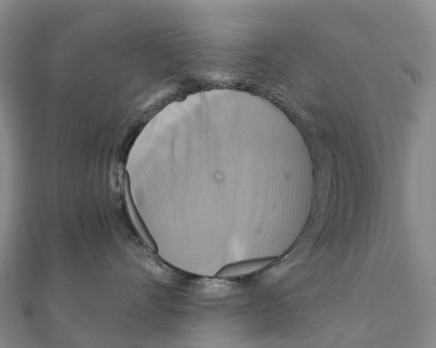 X0000111510528200908111311