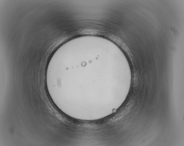 X0000111510529200908111311