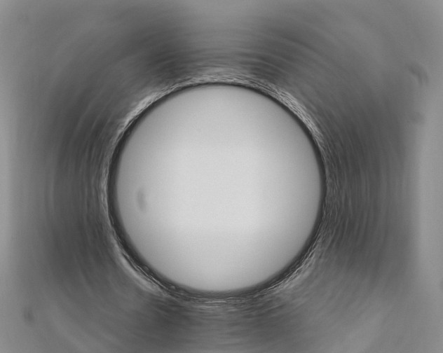X0000111510530200908111311