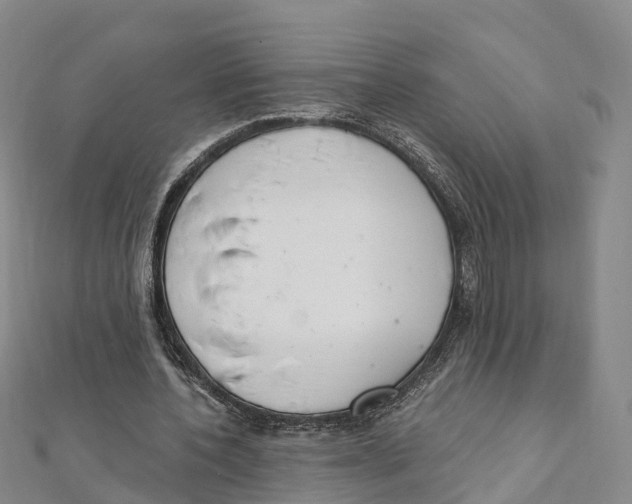 X0000111510532200908111311