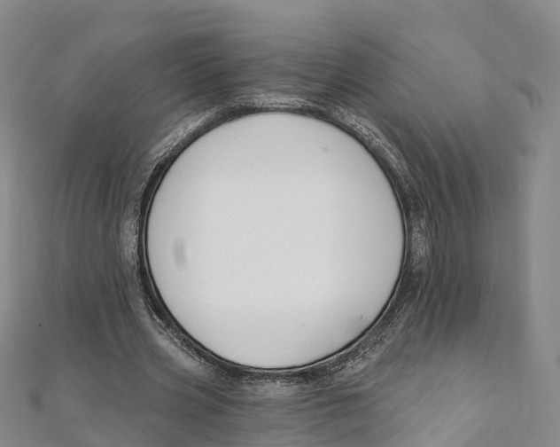 X0000111510533200908111311