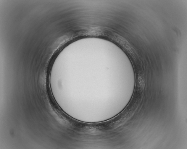 X0000111510534200908111311