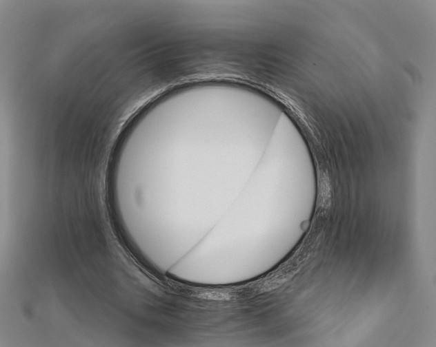 X0000111510535200908111311