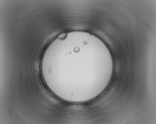 X0000111510537200908111311