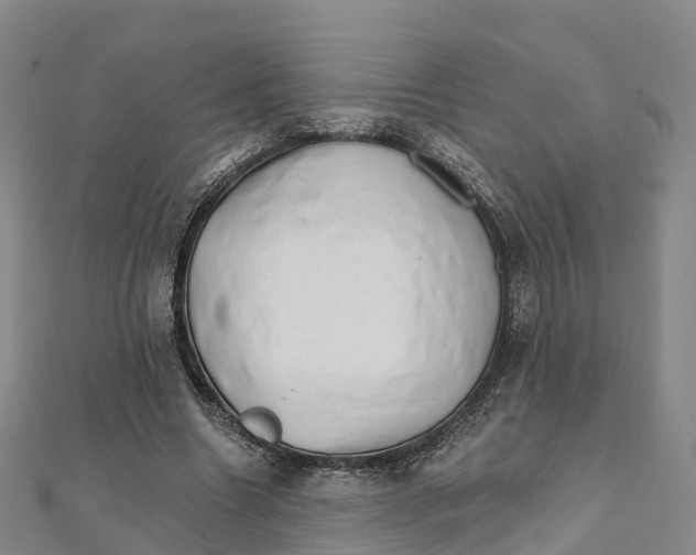 X0000111510538200908111311