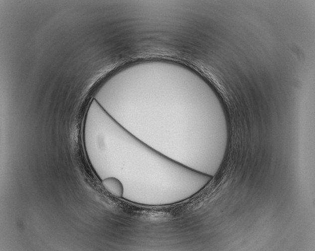 X0000111510539200908111311