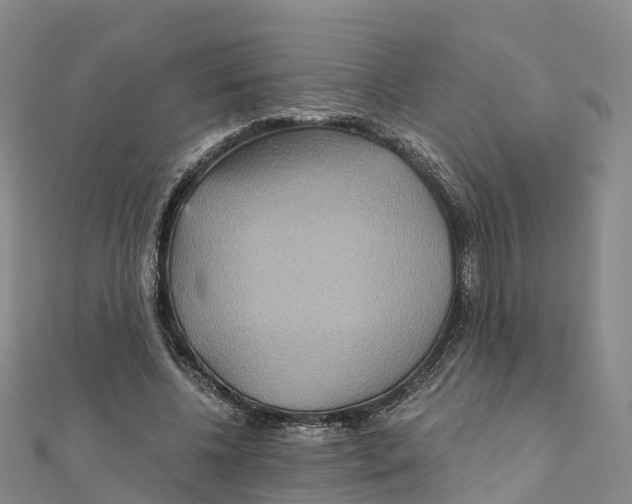 X0000111510540200908111311