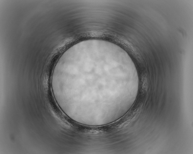 X0000111510542200908111311