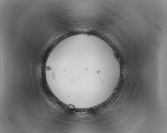 X0000111510544200908111311