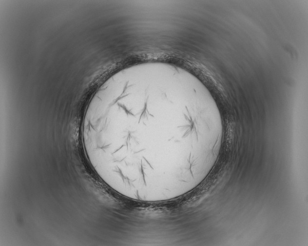 X0000111510545200908111311