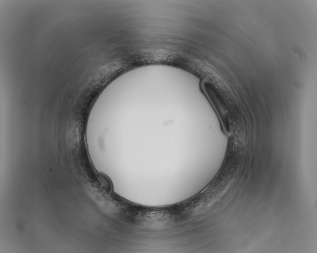 X0000111510546200908111311