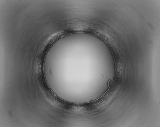 X0000111510547200908111311
