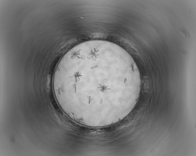 X0000111510550200908111311