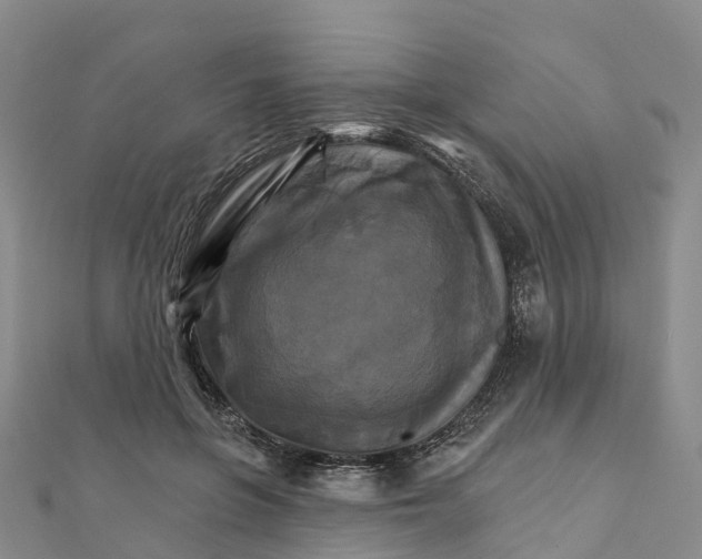X0000111510551200908111311